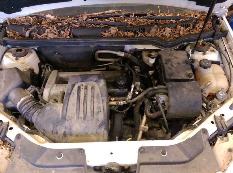 2006 Chevrolet Cobalt LS (AA0219) Part Out